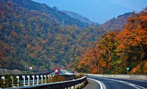 秋游正當(dāng)時！成都租車旅游選哪一條？